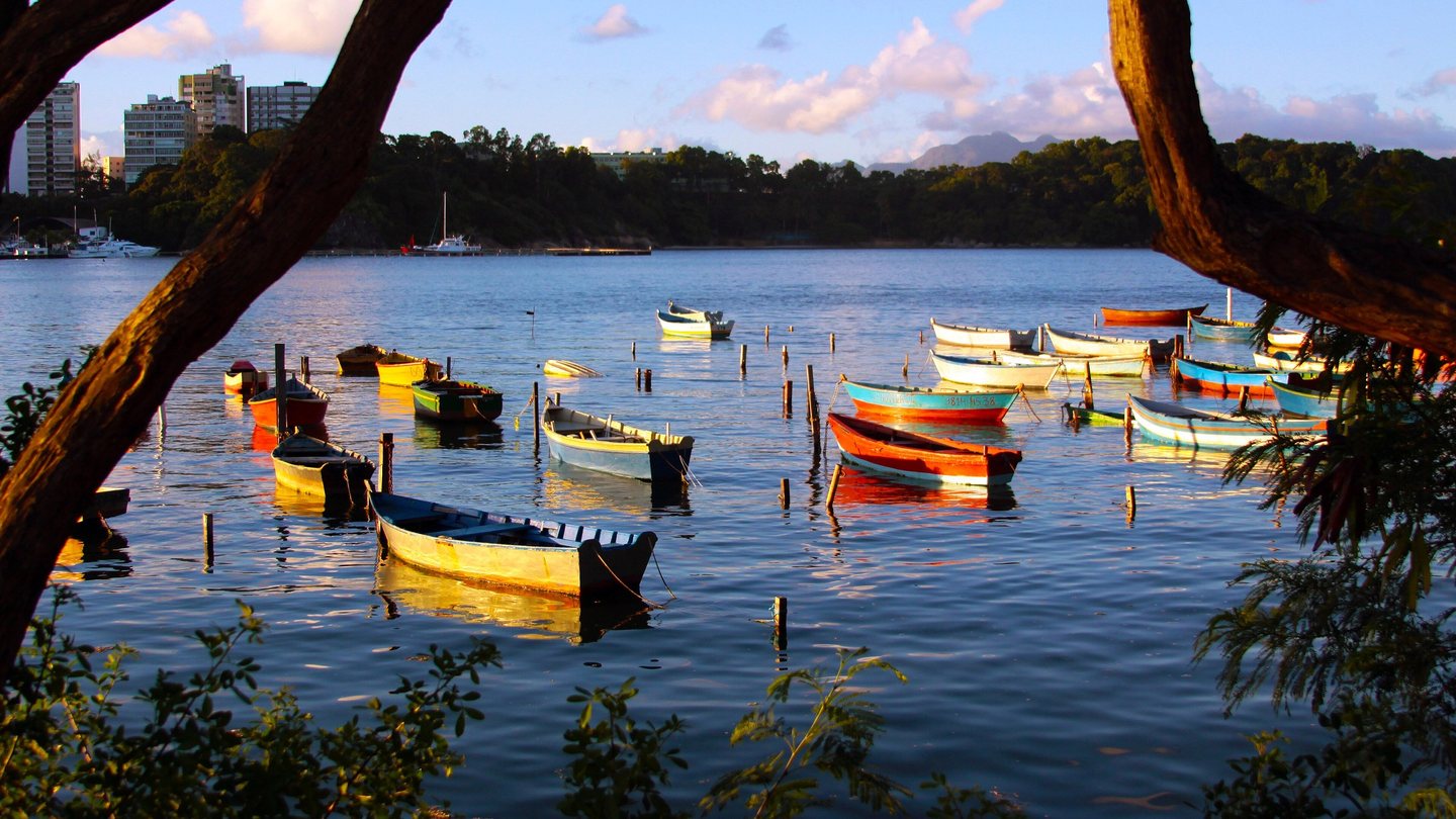Canoas de pesca coloridas ancoradas nas águas calmas junto à Ilha do Frade, em Vitória (ES), na luz dourada do fim de tarde, emolduradas por galhos de árvore.
