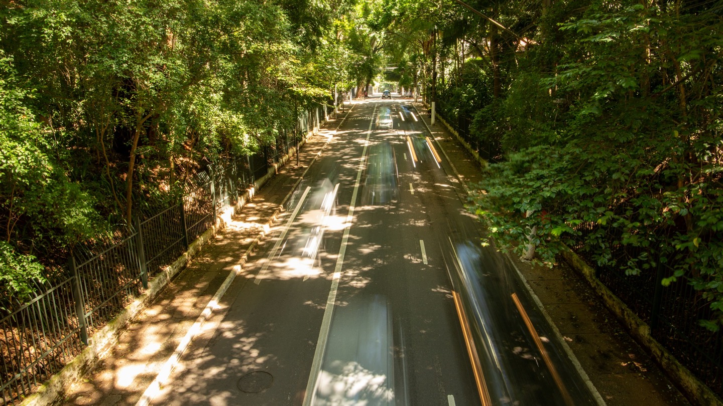 Vista do alto da Alameda Santos, em São Paulo, coberta por um túnel de árvores com luz filtrada, entre as grades verdes do Parque Trianon